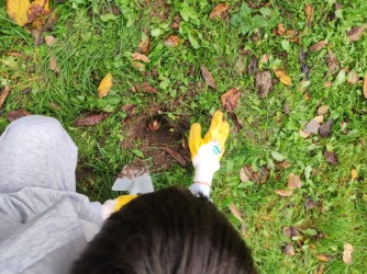 Dreckweg-Tag_2025 Dreckweg-Tag_2025